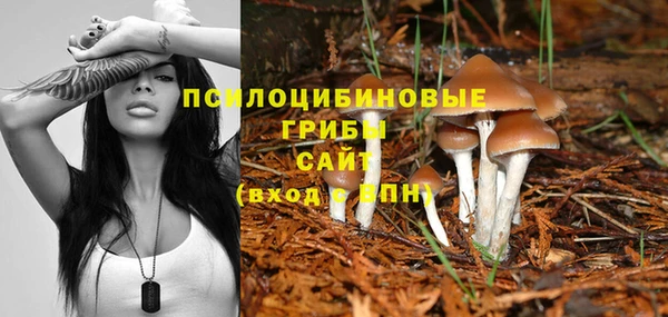 дживик Аркадак