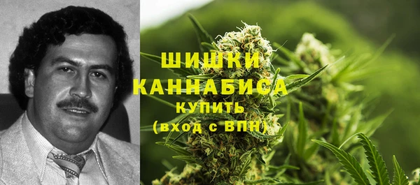 дживик Аркадак