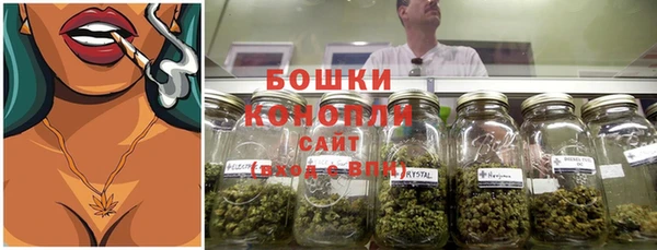дживик Аркадак