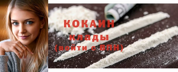 дживик Аркадак